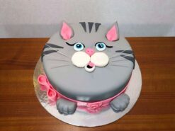 Pussy Cat Face Fondant Cake
