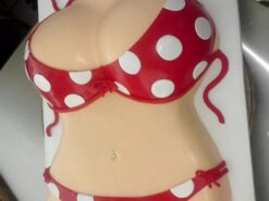 Red Polka Dot Color Bikini Fondant Cake