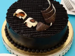 Rich Chocolate Splash Cake
