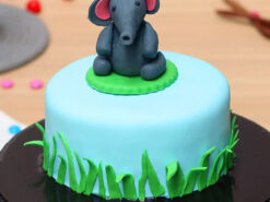 Round Baby Elephant Fondant Cake