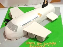 Singapore Airlines Airplane Cake from LallanTop Cake Shop - Delivery in East Delhi, South-East Delhi, Ghaziabad and Noida