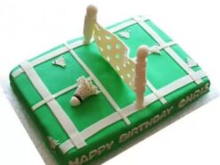Smashing Badminton Court Fondant Cake
