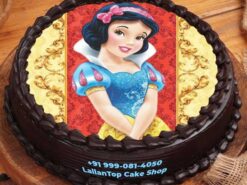 Snow White Princess Photo Cake