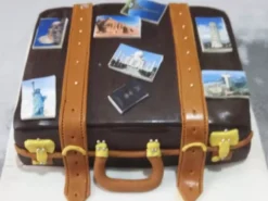Traveler Themed Suitcase Cake