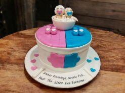 twin-baby-shower-bathtub-celebration-cake
