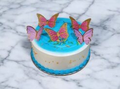vibrant-butterfly-fantasy-cake
