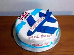 Virgin Plane Birthday Cake