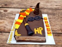 Wizard Book Cake
